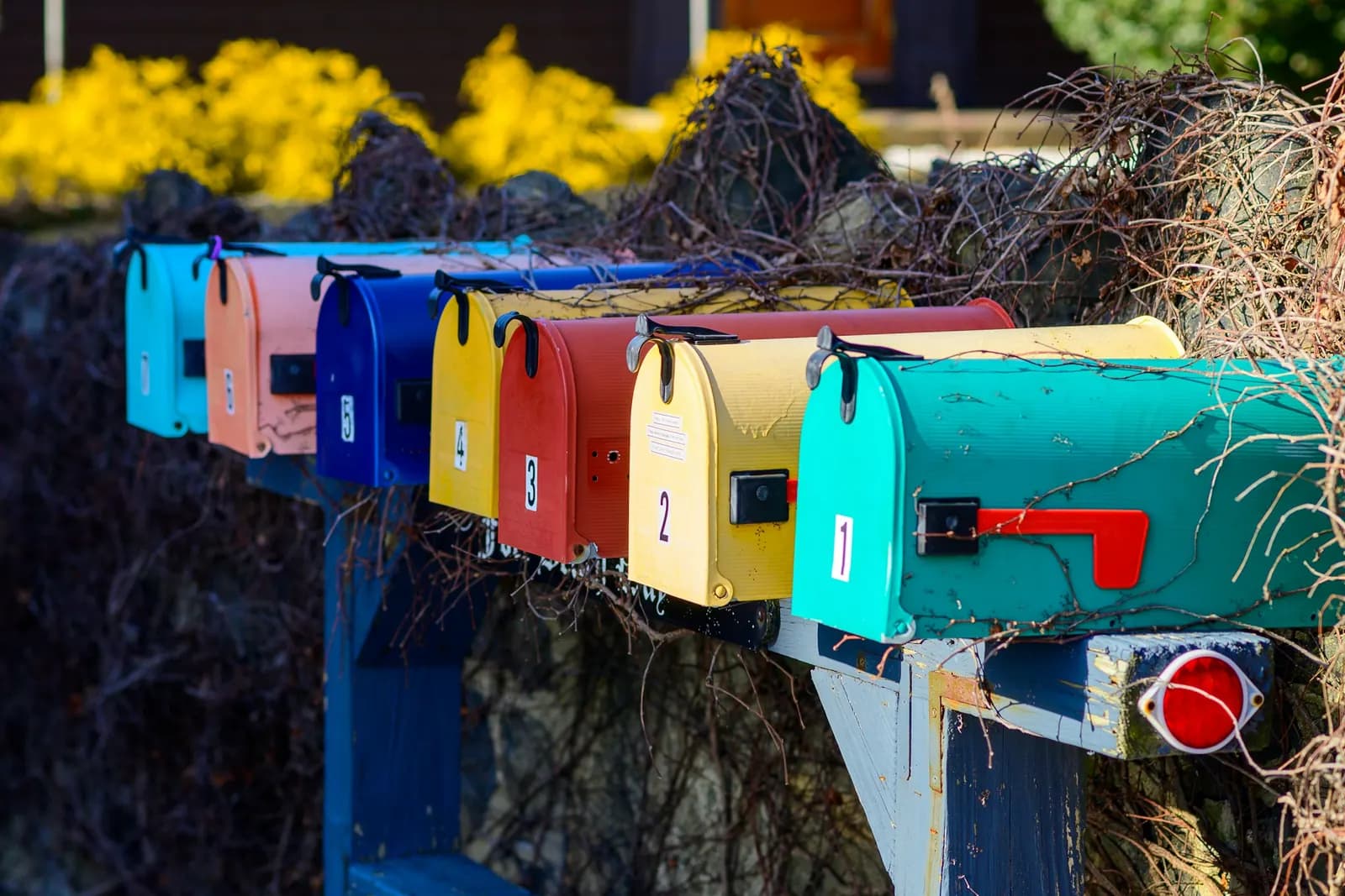 A row of colorful mailboxes on wooden posts